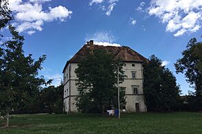 Прекрасный замок в живописном месте