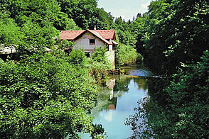 Прекрасный дом на реке Крупа