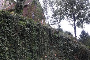 Реконструкция снос дома