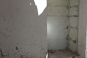 Согласие на реконструкцию