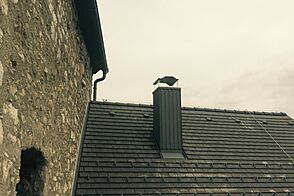 Как купить и от реконструировать замок в Европе