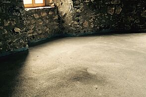 Программа инвестиционного проекта