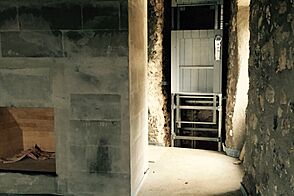 Инвестиционно строительный проект