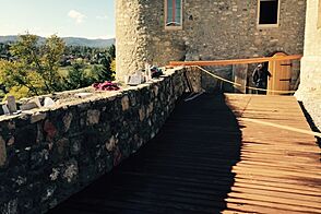 Реконструкция большая