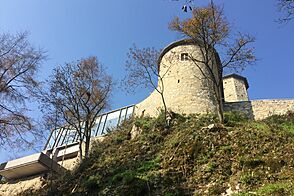 Осуществить реконструкцию