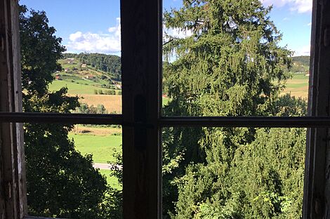 изображение объекта №