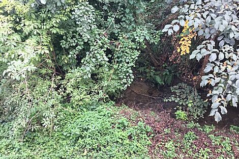 изображение объекта №