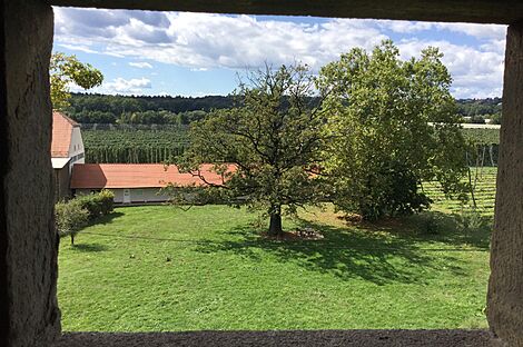 изображение объекта №