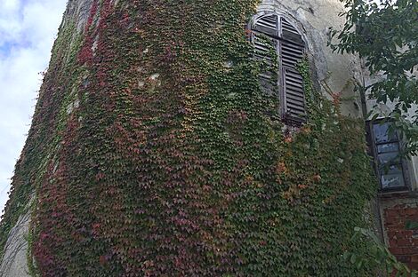 изображение объекта №