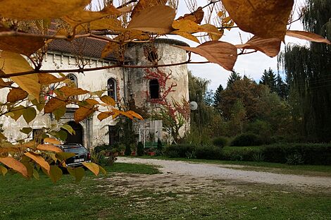 изображение объекта №