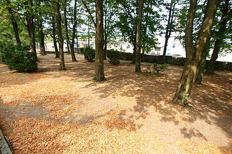 изображение объекта №