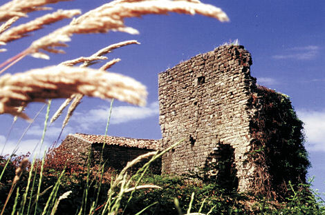 изображение объекта №