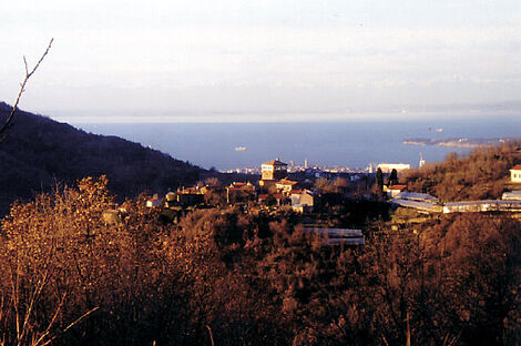 изображение объекта №