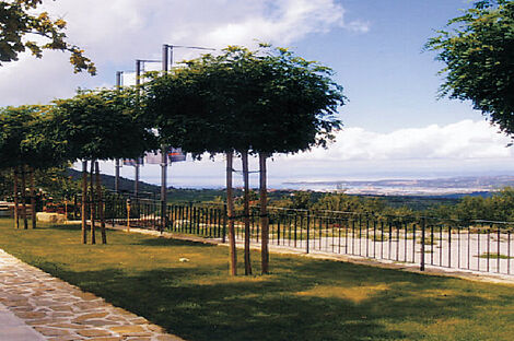 изображение объекта №