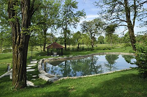 изображение объекта №