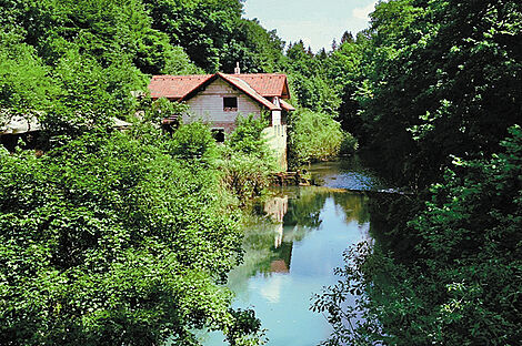 изображение объекта №