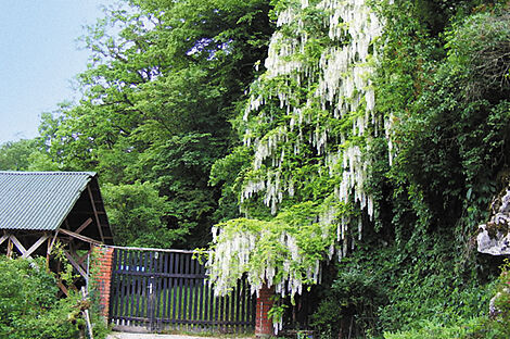 изображение объекта №