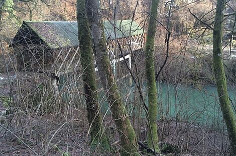 изображение объекта №