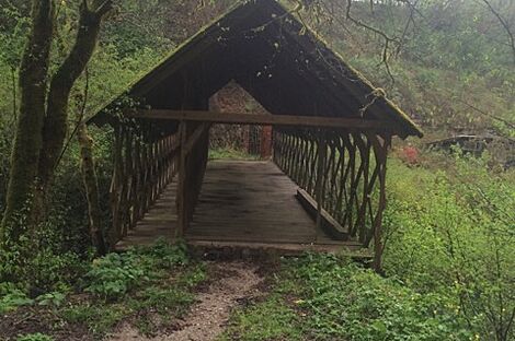 изображение объекта №