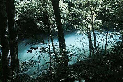 изображение объекта №