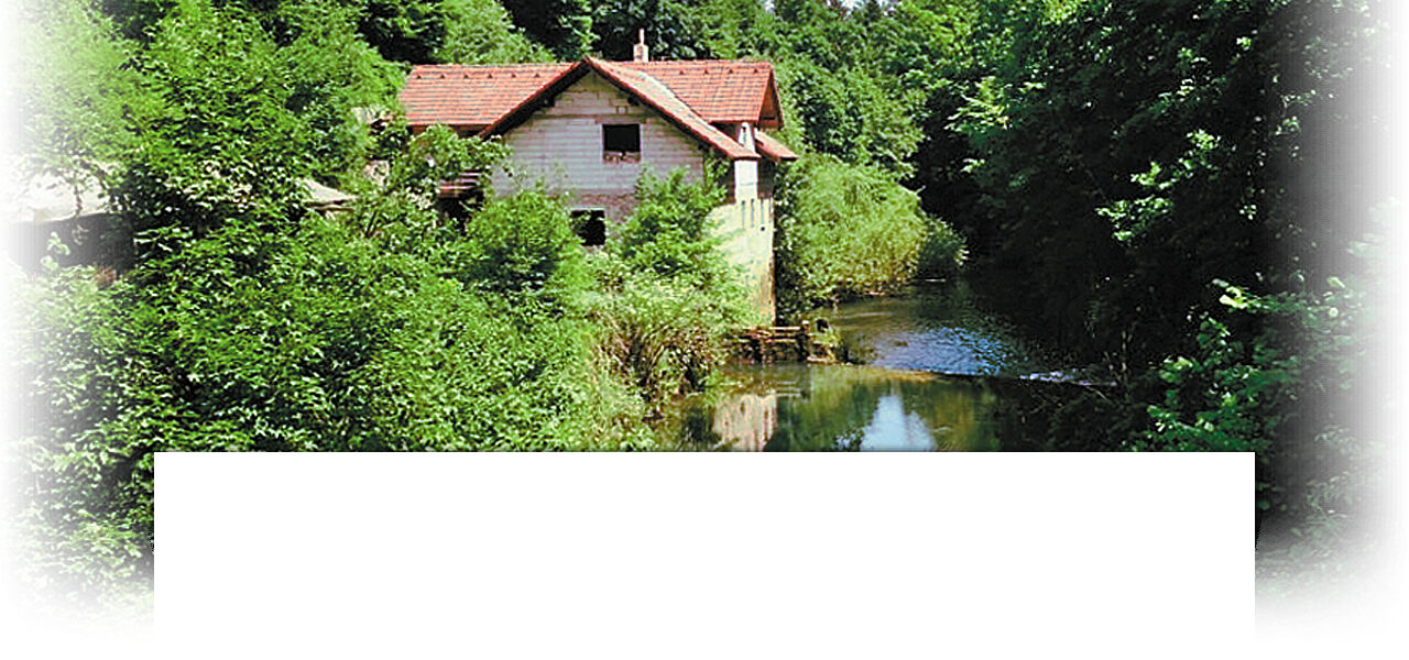 Прекрасный дом на реке Крупа